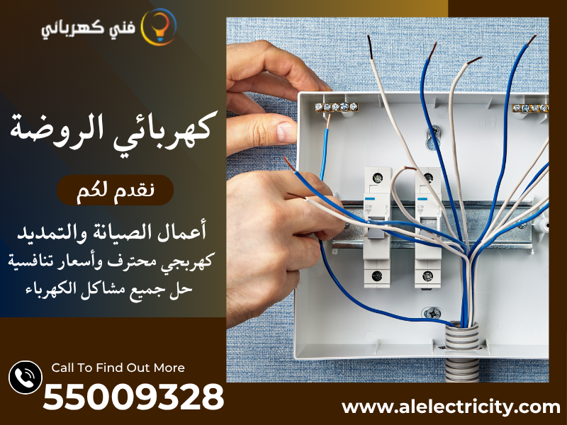 كهربائي الروضة 55009328