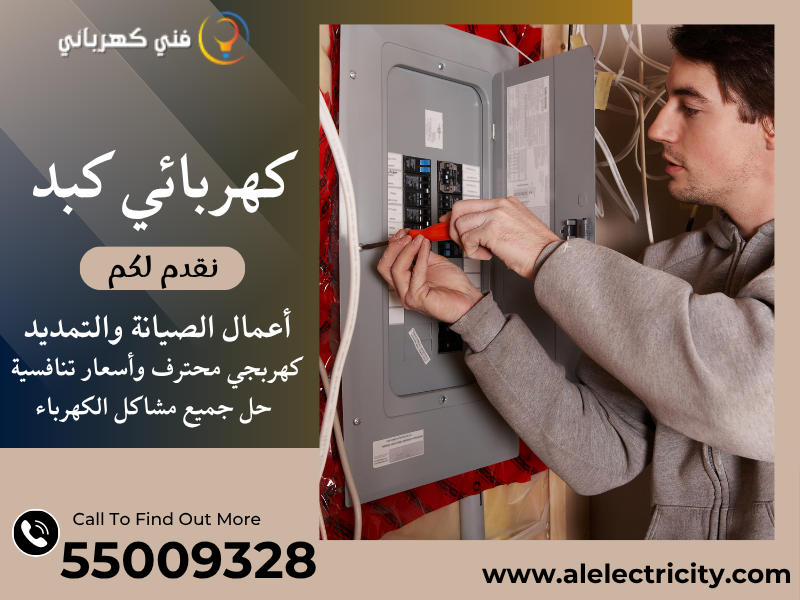 كهربائي كبد 55009328
