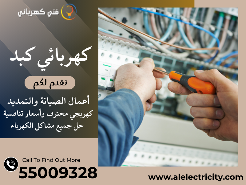 كهربائي كبد 55009328